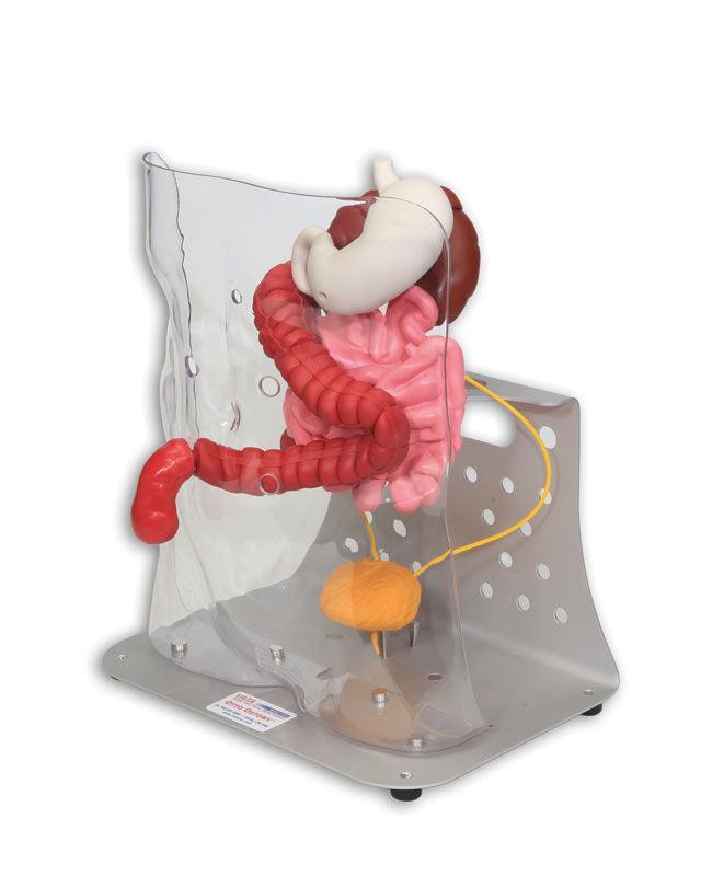 Otto Ostomy, erweitert, R11009 - Notemed Medizintechnik 