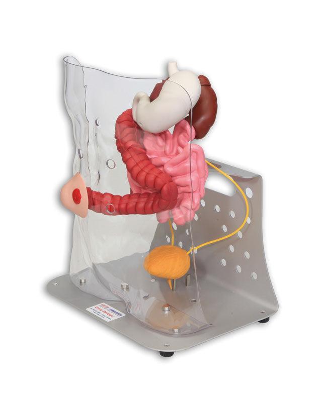 Otto Ostomy, erweitert, R11009 - Notemed Medizintechnik 