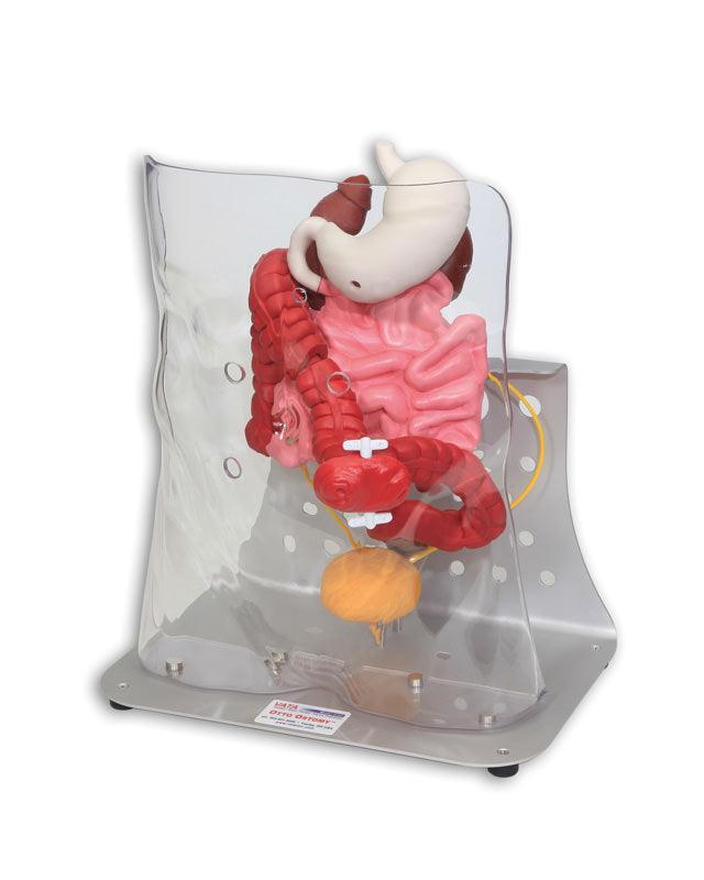 Otto Ostomy, erweitert, R11009 - Notemed Medizintechnik 