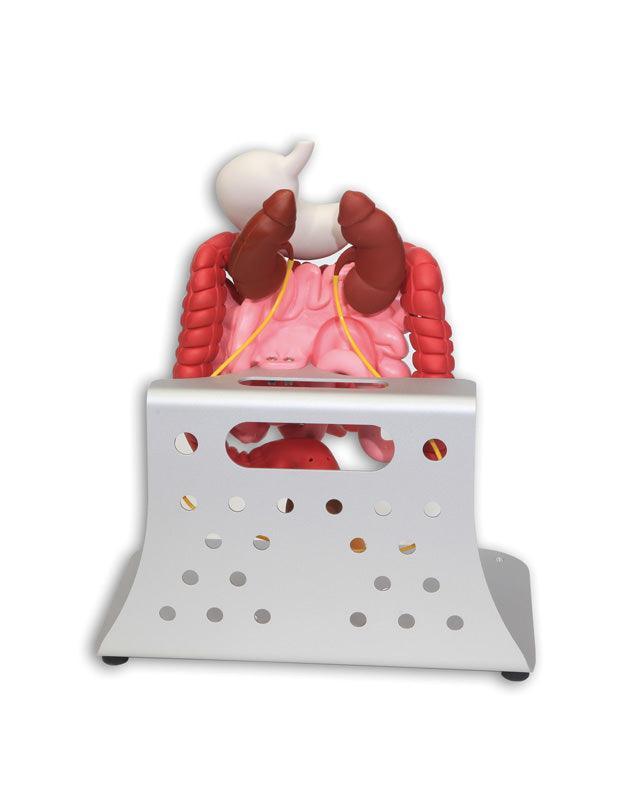 Otto Ostomy, erweitert, R11009 - Notemed Medizintechnik 