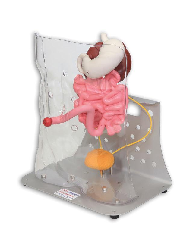 Otto Ostomy, erweitert, R11009 - Notemed Medizintechnik 