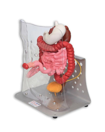 Otto Ostomy, erweitert, R11009 - Notemed Medizintechnik 