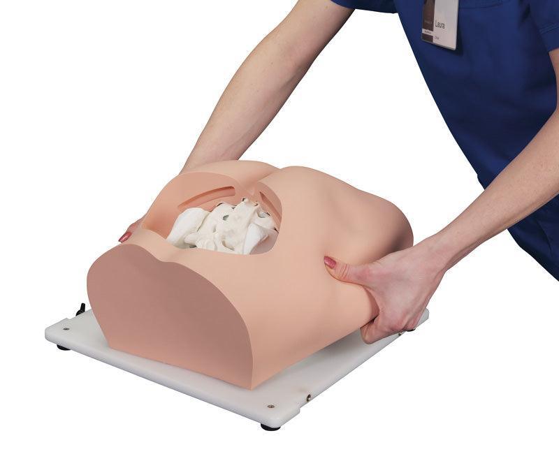 Bonnie Knochenmarkbiopsietrainer, R11051 - Notemed Medizintechnik 