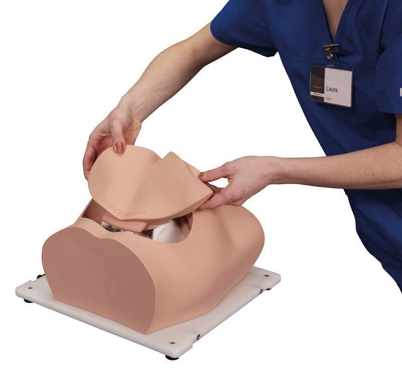 Bonnie Knochenmarkbiopsietrainer, R11051 - Notemed Medizintechnik 