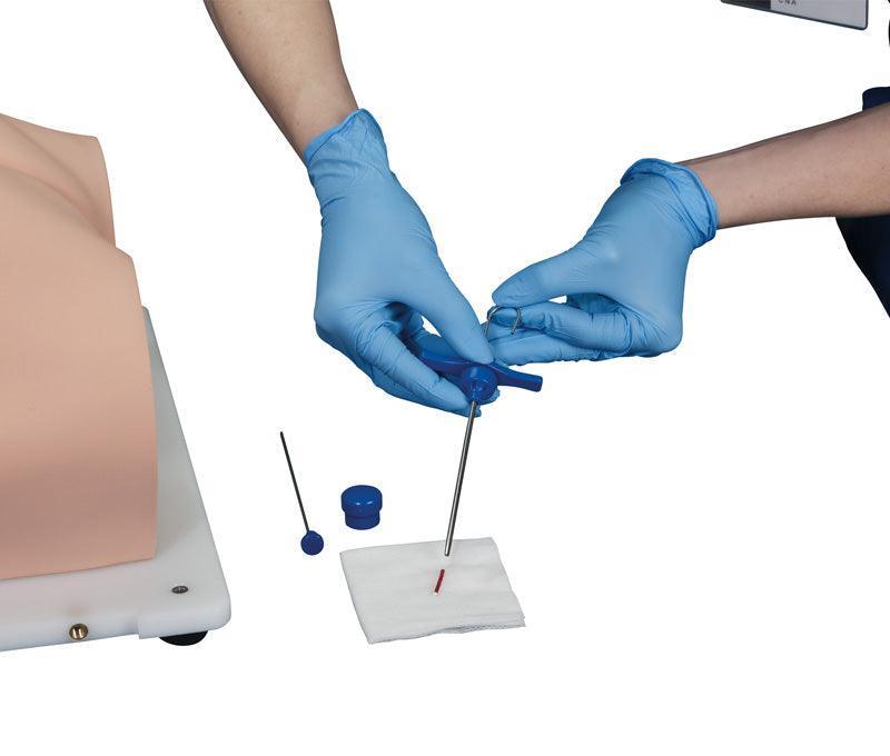 Bonnie Knochenmarkbiopsietrainer, R11051 - Notemed Medizintechnik 