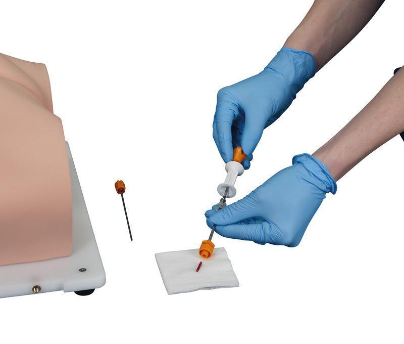 Bonnie Knochenmarkbiopsietrainer, R11051 - Notemed Medizintechnik 