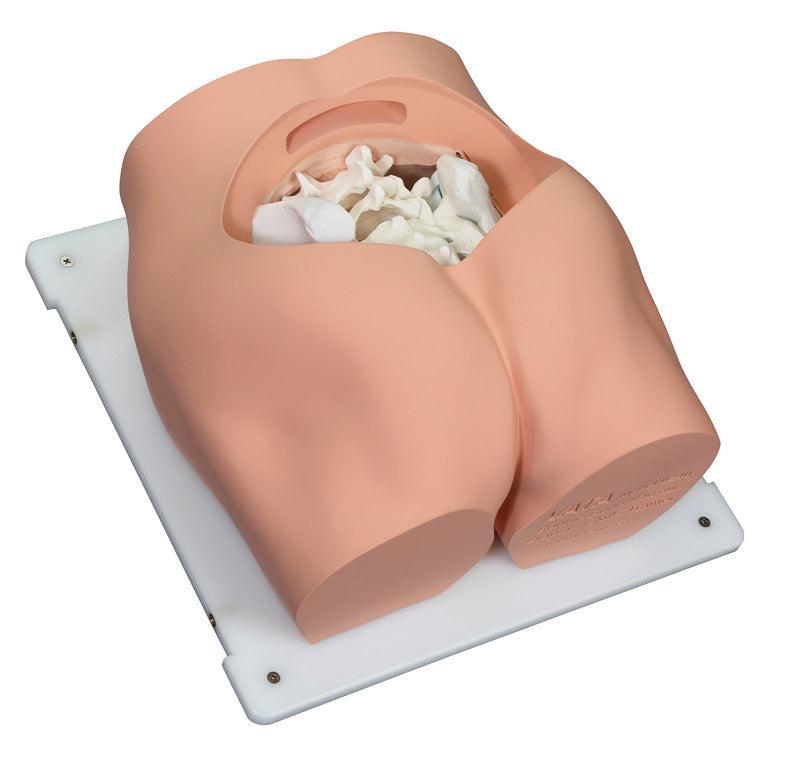 Bonnie Knochenmarkbiopsietrainer, R11051 - Notemed Medizintechnik 