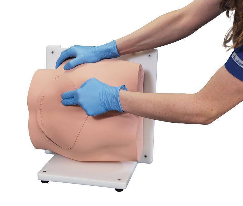 Bonnie Knochenmarkbiopsietrainer, R11051 - Notemed Medizintechnik 