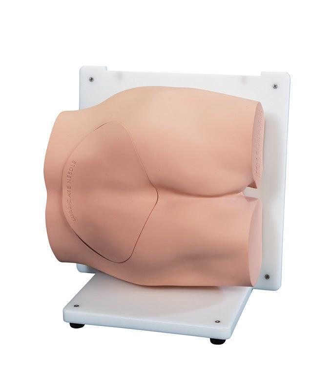 Bonnie Knochenmarkbiopsietrainer, R11051 - Notemed Medizintechnik 