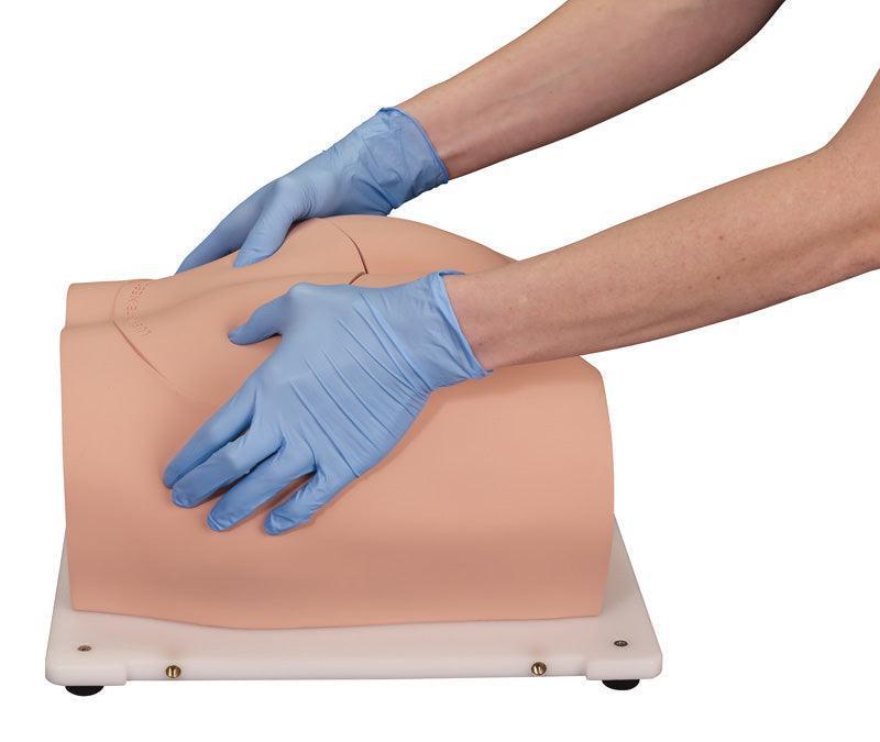 Bonnie Knochenmarkbiopsietrainer, R11051 - Notemed Medizintechnik 