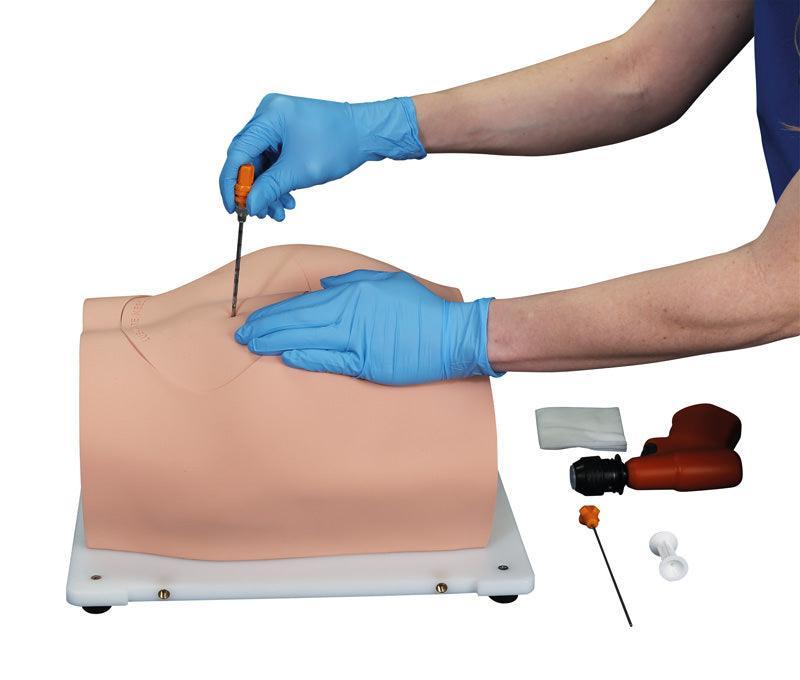 Bonnie Knochenmarkbiopsietrainer, R11051 - Notemed Medizintechnik 