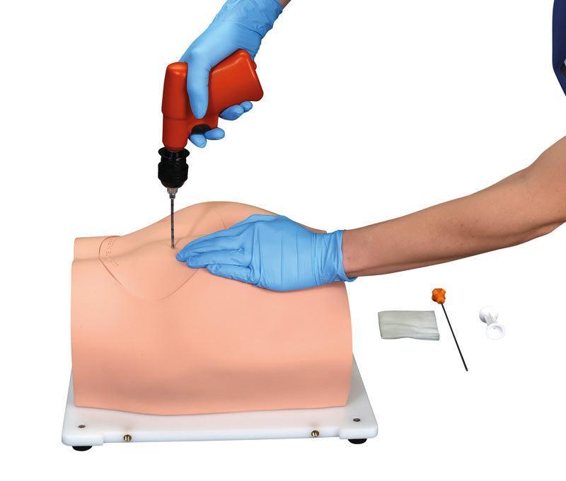 Bonnie Knochenmarkbiopsietrainer, R11051 - Notemed Medizintechnik 