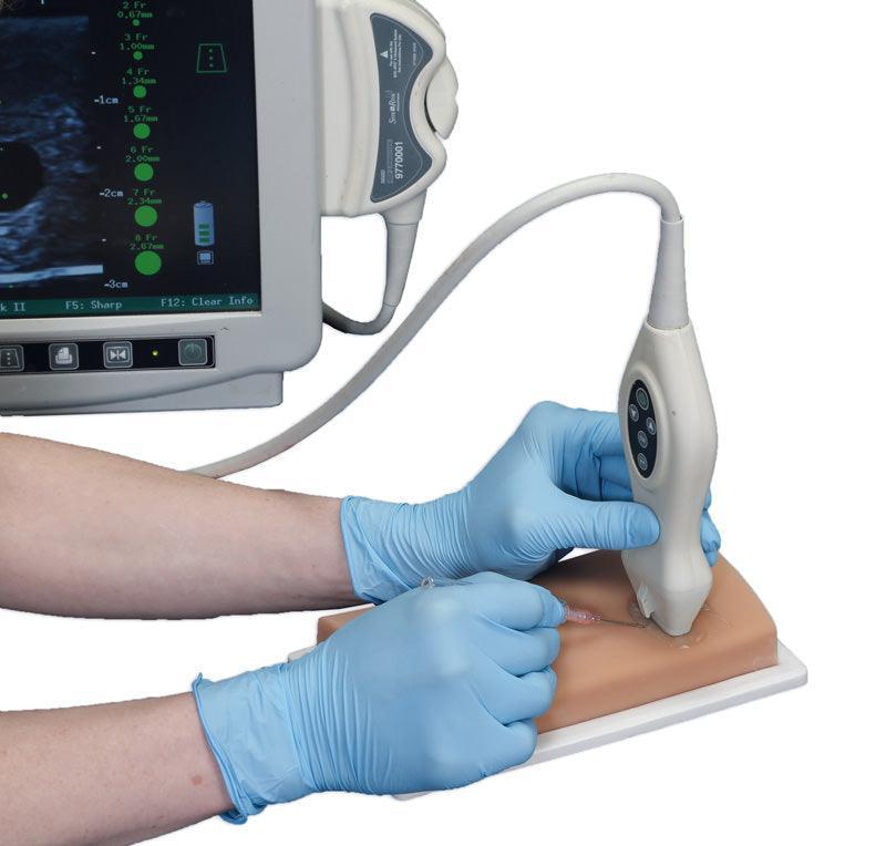 Gefäßzugangs-Ultraschallphantom, R11052 - Notemed Medizintechnik 