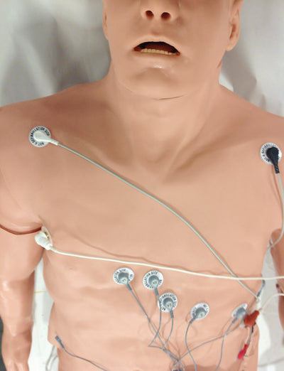 12-Kanal-Arrhythmie-Simulator mit Trainingspuppenhaut (Mittelgroße Haut, Zoll), R13002-1 - Notemed Medizintechnik 