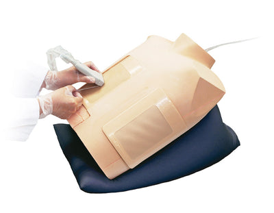Perikardiozentese/Thorakozentese Simulator mit Ultraschallunterstützung, R16013 - Notemed Medizintechnik 