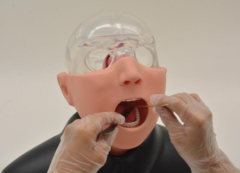 Erler-Zimmer, Nasopharyngealer Abstrichsimulator, R16030