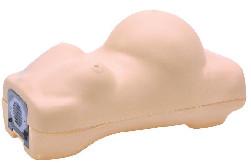 Schwangerschafts-Untersuchungs-Simulator, R16140 - Notemed Medizintechnik 