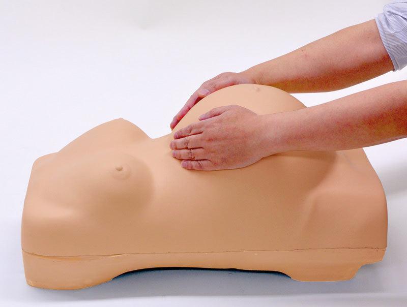 Schwangerschafts-Untersuchungs-Simulator, R16140 - Notemed Medizintechnik 