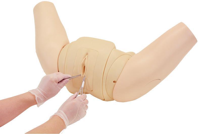 Perinealreparatur - Simulator, R16180 - Notemed Medizintechnik 