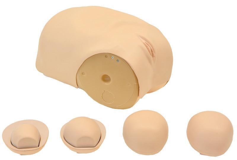 Simulator zur Uterus - Rückbildungsuntersuchung, R16190 - Notemed Medizintechnik 