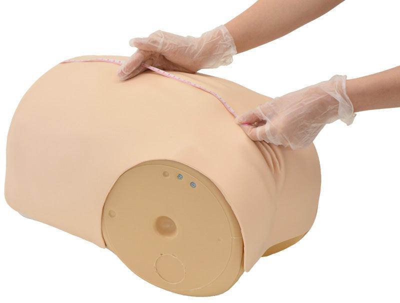 Simulator zur Uterus - Rückbildungsuntersuchung, R16190 - Notemed Medizintechnik 