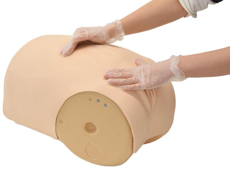 Simulator zur Uterus - Rückbildungsuntersuchung, R16190 - Notemed Medizintechnik 