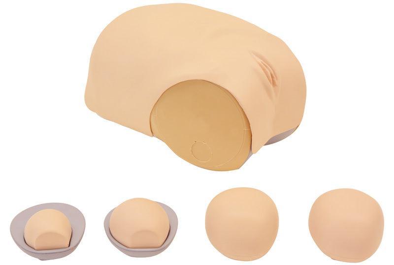 Simulator zur Uterus - Rückbildungsuntersuchung, R16190 - Notemed Medizintechnik 