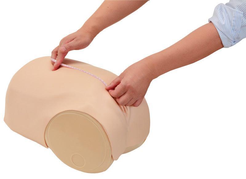 Simulator zur Uterus - Rückbildungsuntersuchung, R16190 - Notemed Medizintechnik 