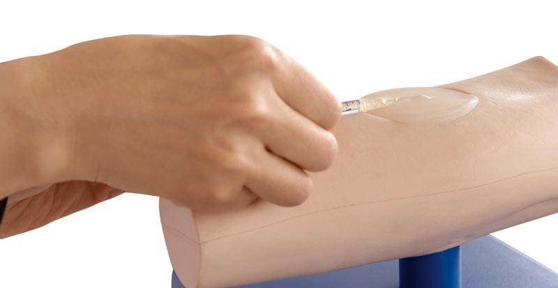 Simulator zum Üben intradermaler Injektionen, R16620 - Notemed Medizintechnik 