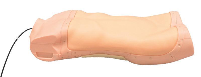 Abdominaler Untersuchungs-Simulator, R16655 - Notemed Medizintechnik 