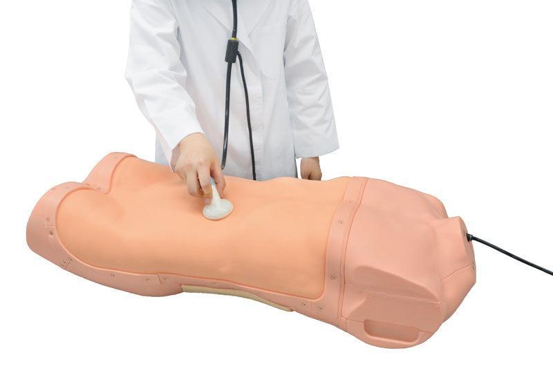 Abdominaler Untersuchungs-Simulator, R16655 - Notemed Medizintechnik 