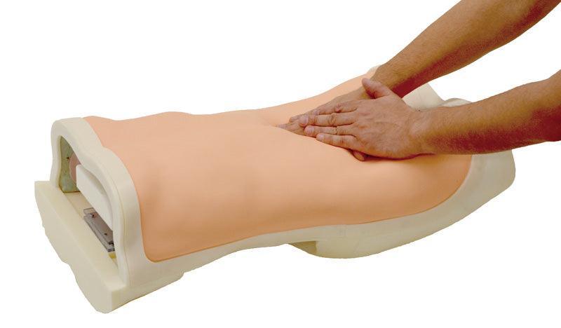 Abdominaler Untersuchungs-Simulator, R16655 - Notemed Medizintechnik 