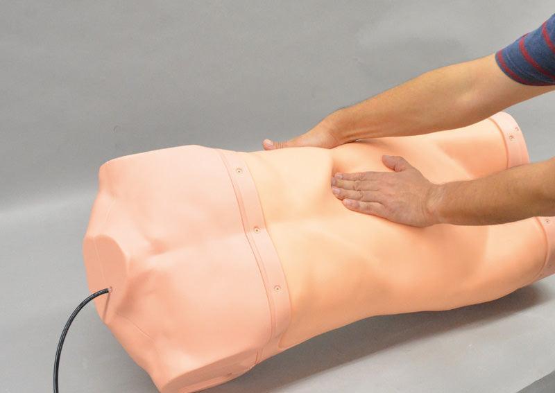 Abdominaler Untersuchungs-Simulator, R16655 - Notemed Medizintechnik 