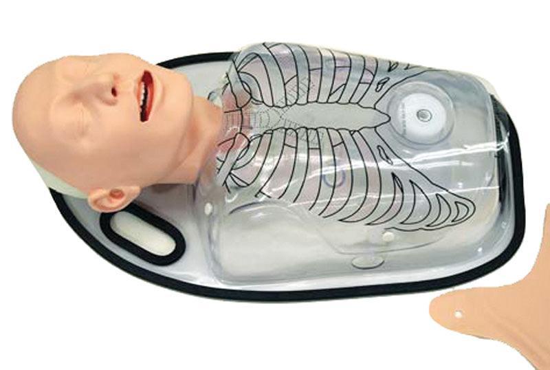 NG-, OG- und PEG-Sondenernährungssimulator, R16660 - Notemed Medizintechnik 
