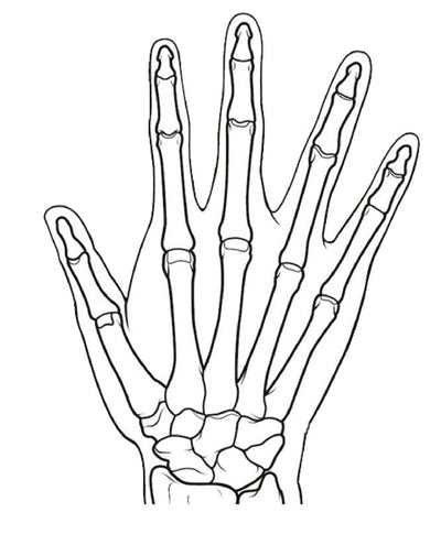 Rheumatisches Fingerphantom, R16830 - Notemed Medizintechnik 