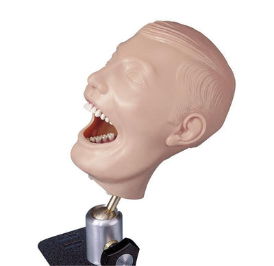 Dentalpuppe, R17000 - Notemed Medizintechnik 