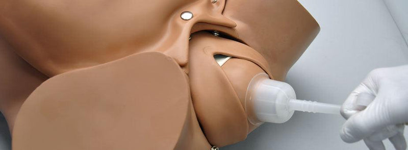 Fötales Baby, Nabelschnur und Plazenta zur Saugglockenentbindung, R17840E - Notemed Medizintechnik 
