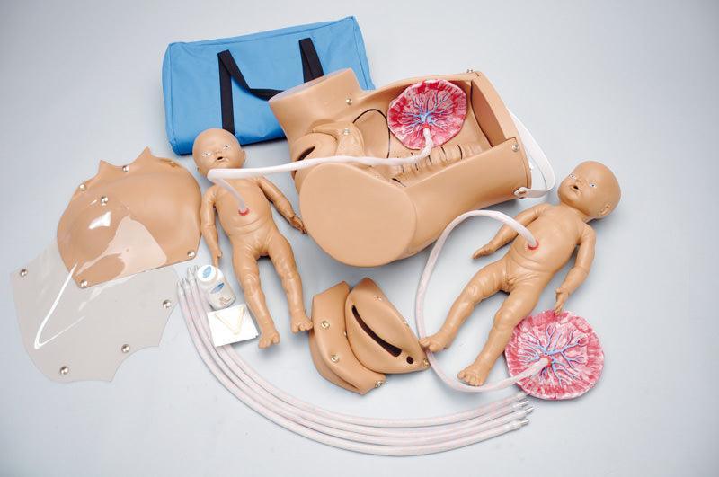 Universeller Geburtssimulator, R17840 - Notemed Medizintechnik 