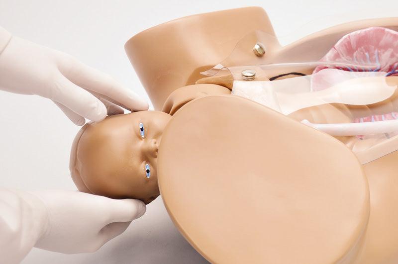 Universeller Geburtssimulator, R17840 - Notemed Medizintechnik 