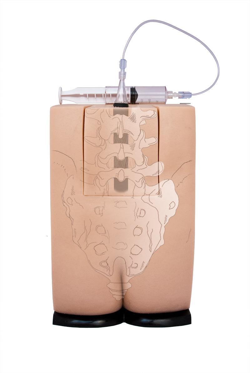 Epidural- und Spinalinjektionssimulator Genesis, R66600 - Notemed Medizintechnik 