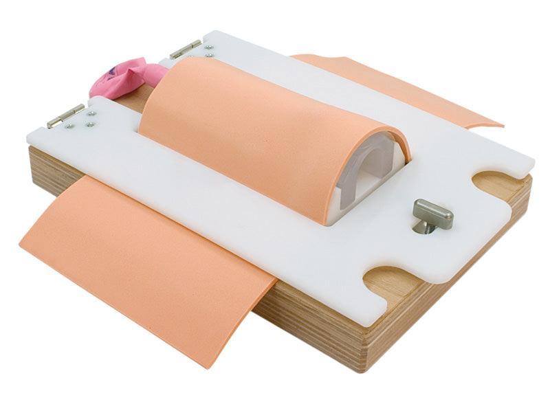 Koniotomie und Tracheostomie-Trainer „Frankfurt“, R67110 - Notemed Medizintechnik 