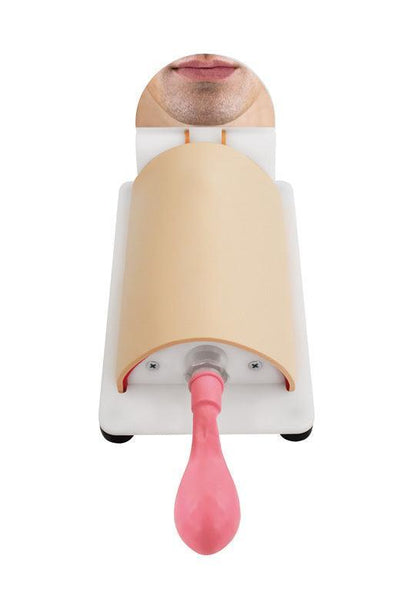 Koniotomie-Trainer „Berlin“, R67130 - Notemed Medizintechnik 