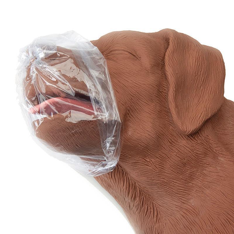 HLW Übungshund CasPeR, VET2500 - Notemed Medizintechnik 