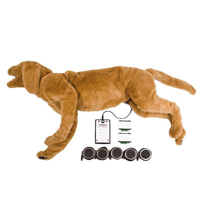 K9 Atmungs- und Herztonsimulator (AHS) Goldie, VET4040 - Notemed Medizintechnik 