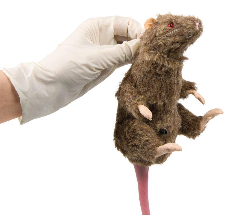Squeekums, VET4210 - Notemed Medizintechnik 