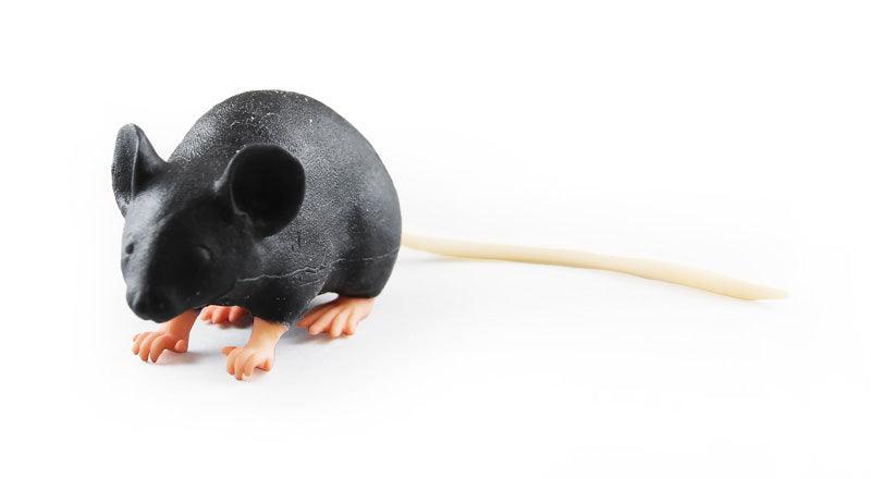 Mimicky Mouse, VET4220 - Notemed Medizintechnik 