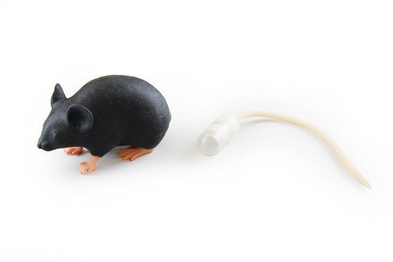 Mimicky Mouse, VET4220 - Notemed Medizintechnik 