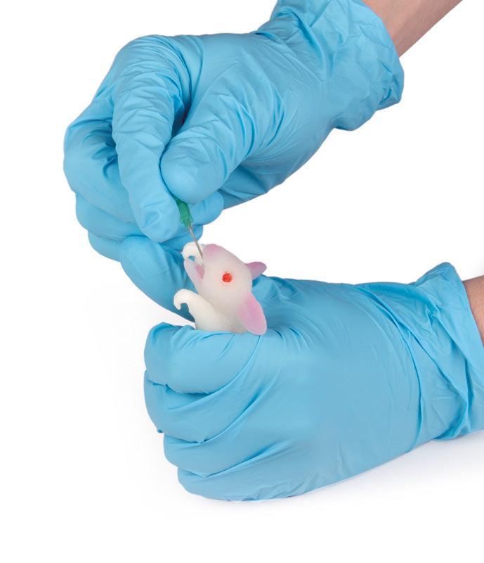 Simulationsmodell Maus, VET4225 - Notemed Medizintechnik 
