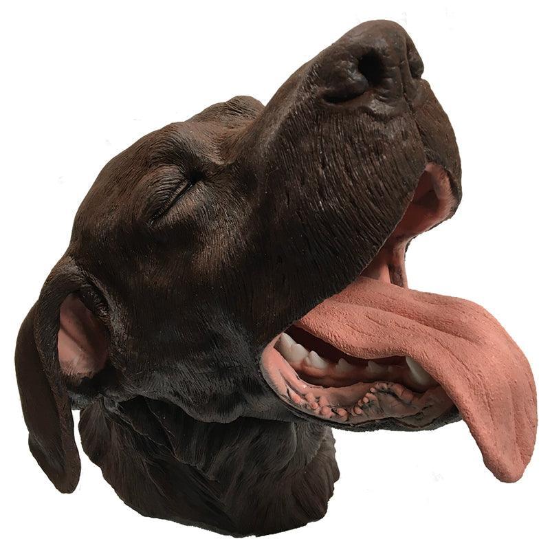 Chirurgisches Zahnmodell Hund, VET4570 - Notemed Medizintechnik 