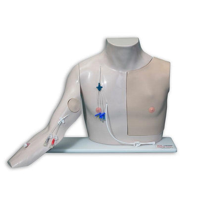 CHESTER CHEST W-ADV ARM Modell| abnehmbarer Arm | Training IV-Punktionen| Gefäßzugang entfernen | VT-2400-ADV - Notemed Medizintechnik 